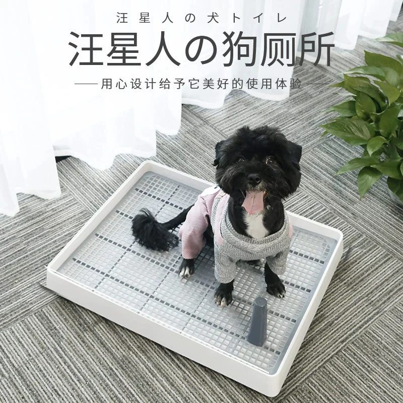 prod_6ad7b517bc92f6.37481902.webp