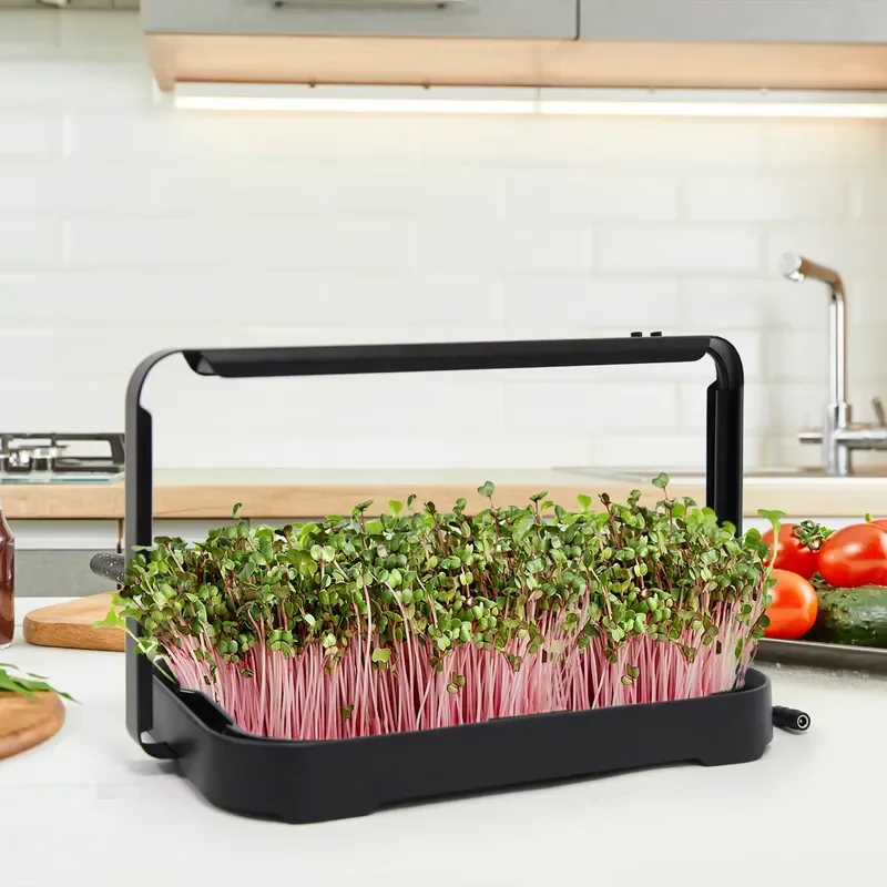 Hydroponic Tray Indoor Microgreen Microgreen Seeds Sprouts Grow System Vege Garden Kit Smart Planter