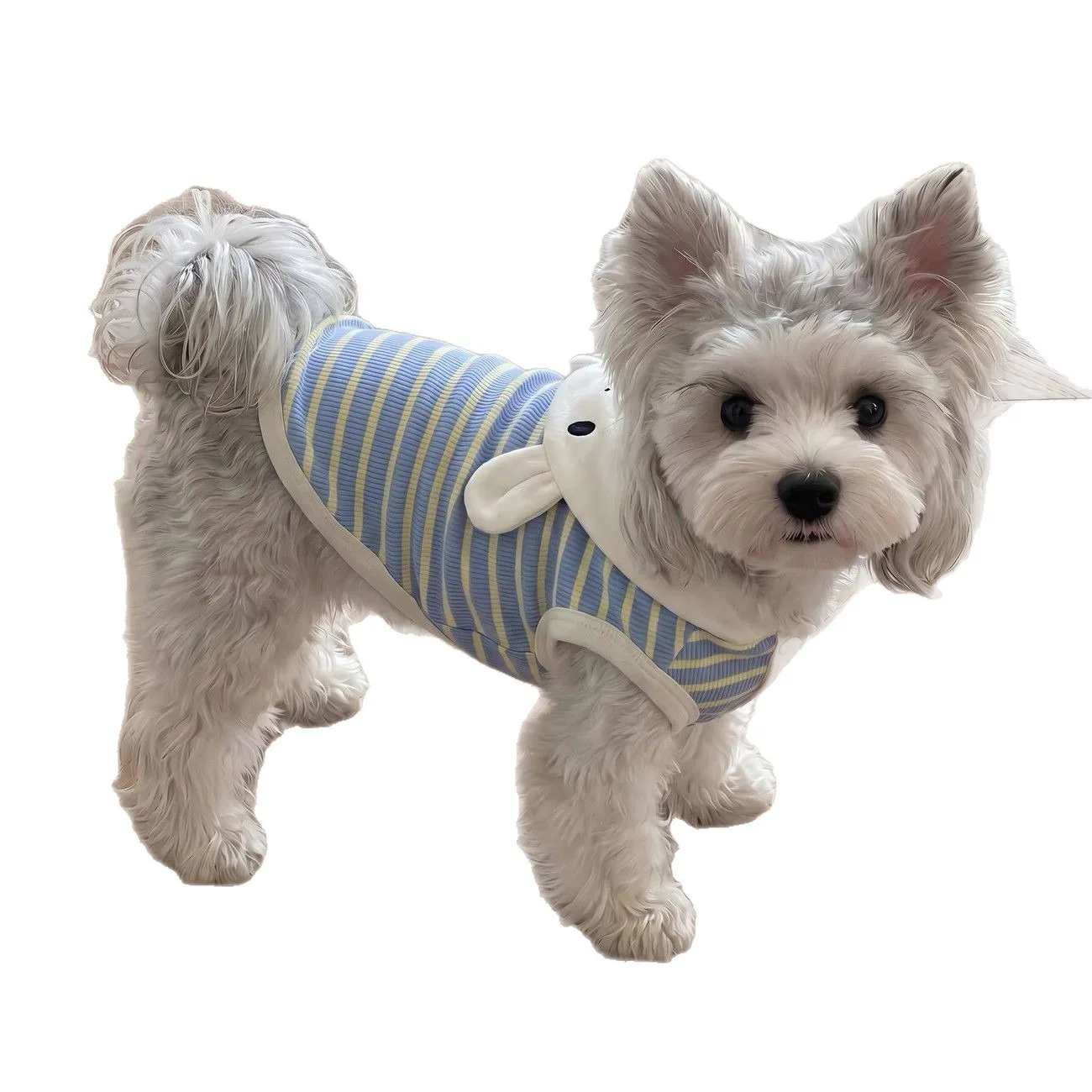 prod_6ad7b8373cac26.70049617.webp