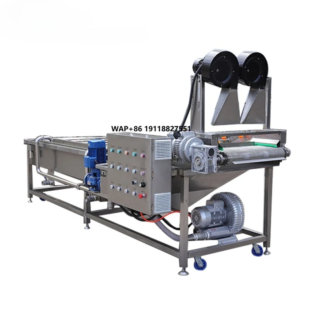 Industrial Fruit & Vegetable Processing Machine Fresh Dry Dates Washing Equipment for Cleaning and Drying