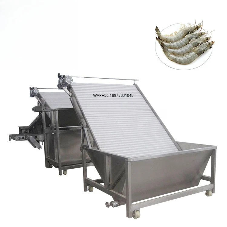 Industrial crayfish and shrimp processing machine - cleaning, sorting and grading machine equipment