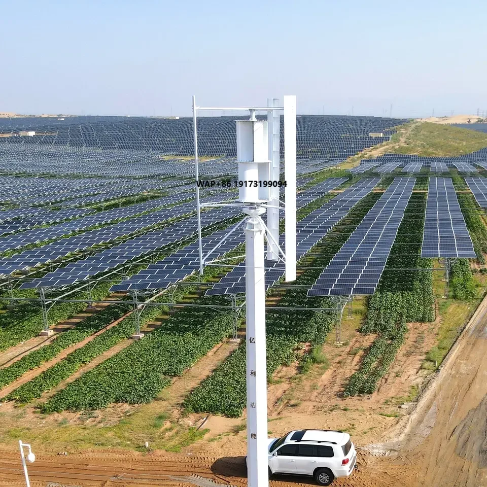 China Factory Small Wind Turbine with Magnetic Levitation Generator Permanent Magnet System Free Energy 220v Output Voltage