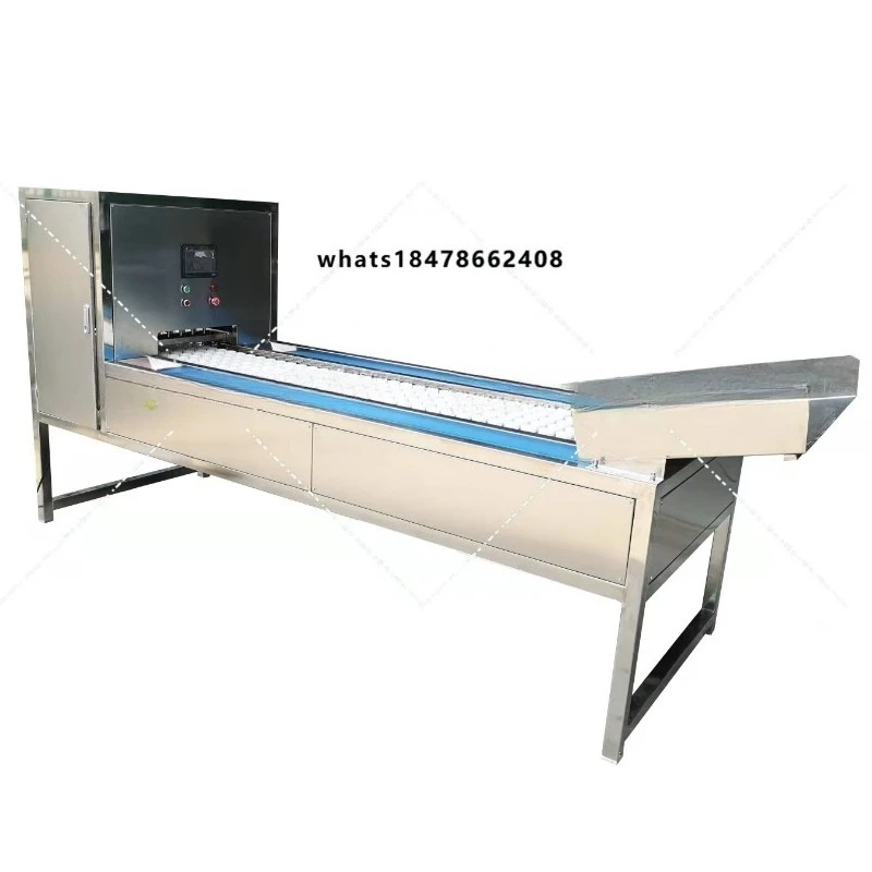 Daqiao Industrial Cherry Pitting/Seed Removal Machine  Factory Direct Price
