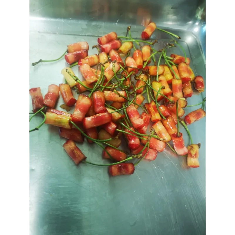 prod_6ad7c63c12cde7.67970093.webp
