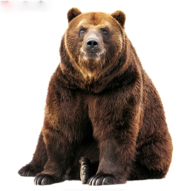 Car Sticker Personality Colorful Brown Bear Vinyl Car Motorcycle Sticker Waterproof Sunscreen Cover Scratch Decal,17cm*15cm