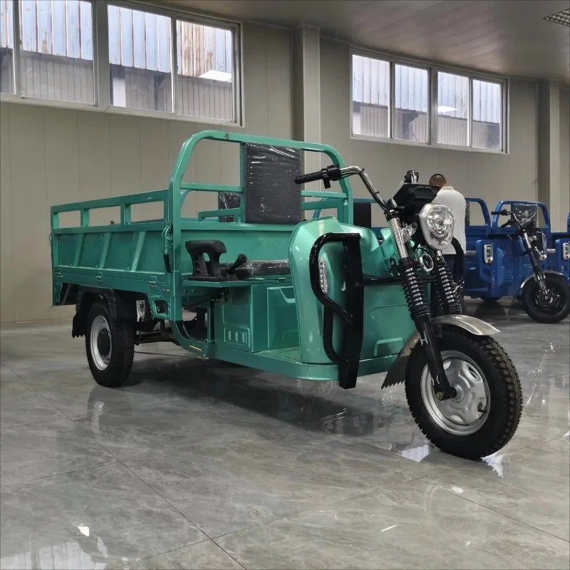 Electric Cargo Tricycle 1200W Adult Pedicab 3 Speed Gears Rear Hub Motor Passenger Big Tire