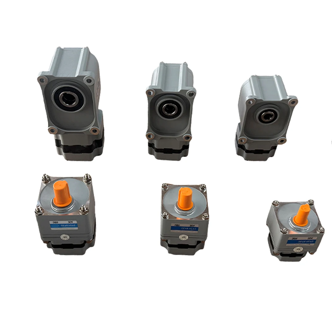DC Gear Motor for Access Control System Dc 24v/48v 15w 25w 30w 40w 60w 90W 120W 200W 400w Brushless Motor