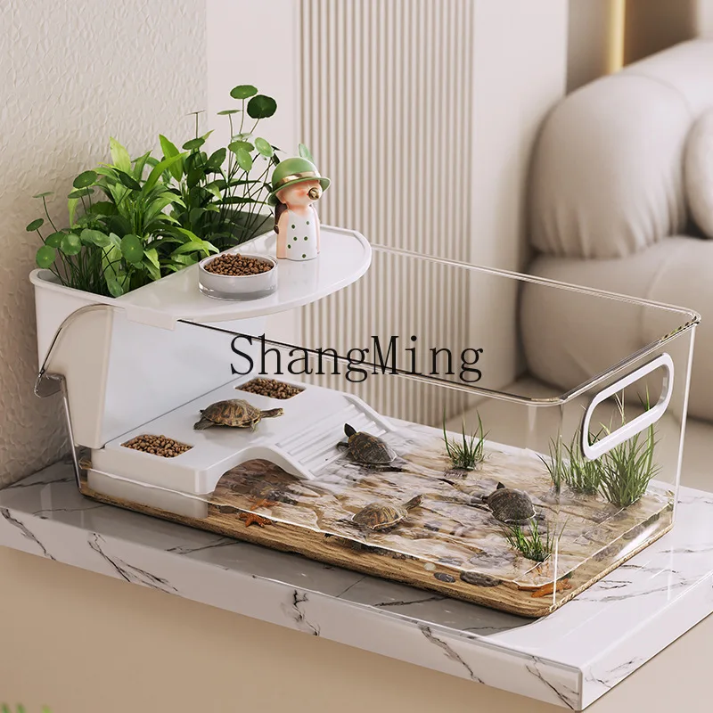 FG small turtle rearing tank special aquarium home office desktop turtle tank ecological landscaping