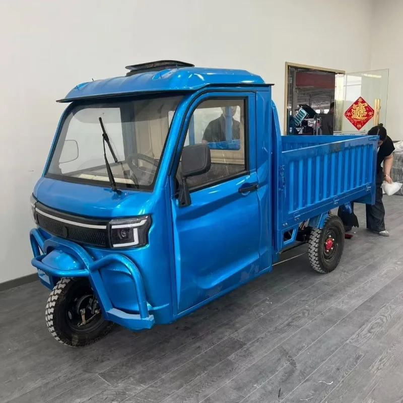 Electric Cargo Tricycle 800W Mini Cargo Truck 50A Battery Adult Scooter Three Wheel Vehicle