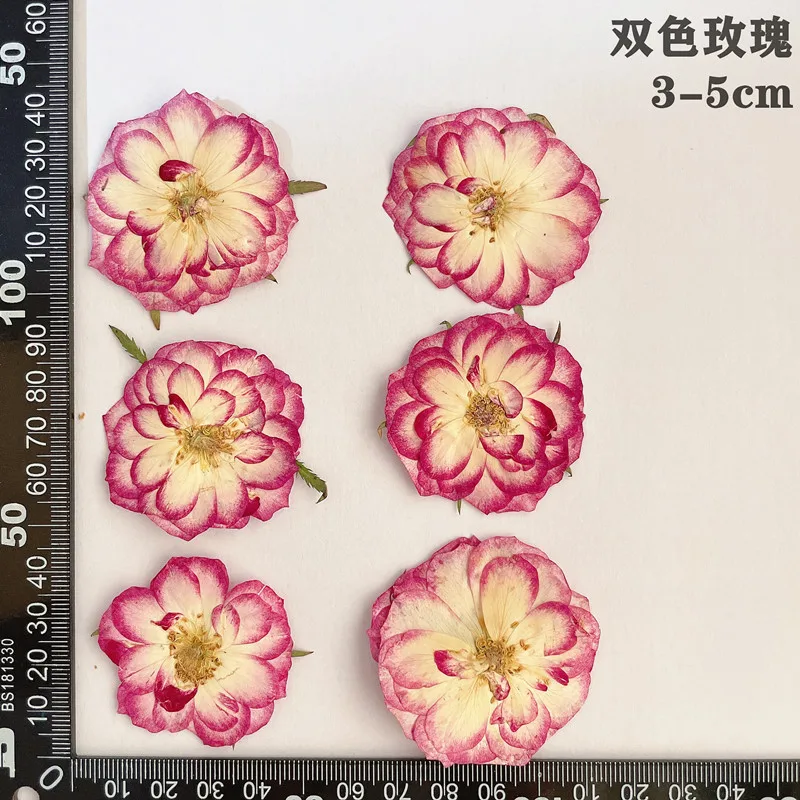 prod_6ad802e353fd99.92959006.webp