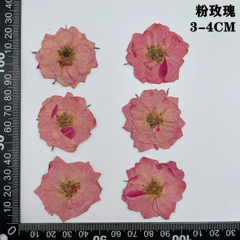 prod_6ad802e3a29e59.56991242.webp