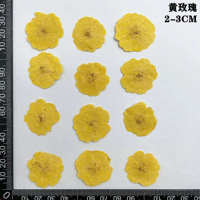 prod_6ad802e4058789.32062587.webp