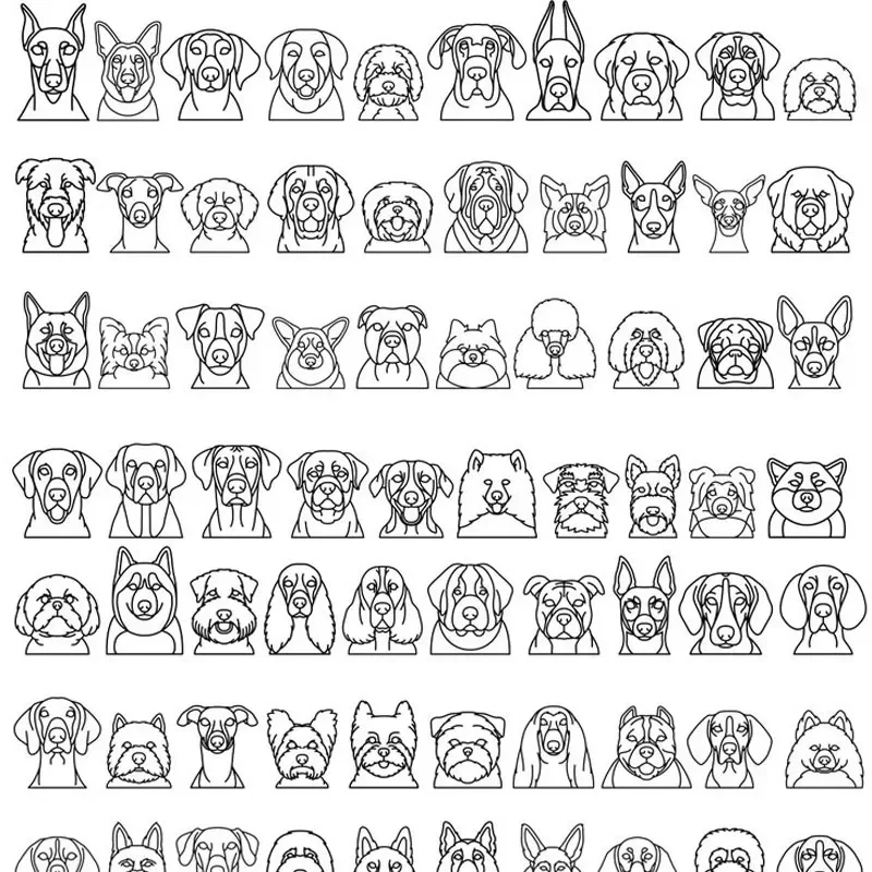 prod_6ad806b5a38139.97905764.webp