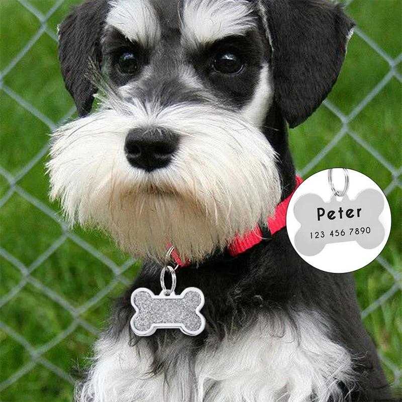 New Bone Dog Tags Can Be Laser Engraved Dog Name Brand Pet Accessories ID Card Key Chain Pet Jewelry Wholesale