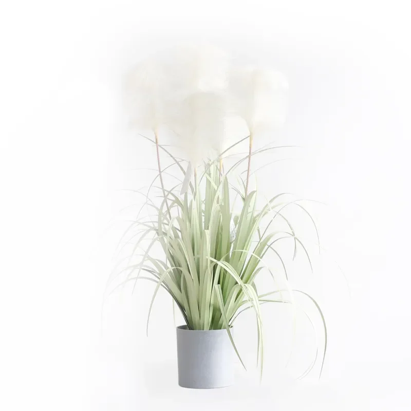 prod_6ad80942bcca76.23283322.webp