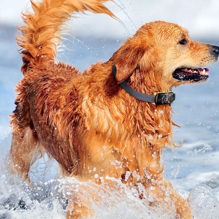 prod_6ad812147029b4.52164566.webp
