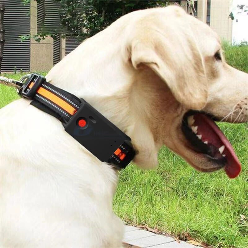 STLFClip 2021 With Sim Room 3G Collar Tracking Realtime Recording 4G Pet Dollar Device Dog Hunting Shock Collar Cat Dog Gps Trac