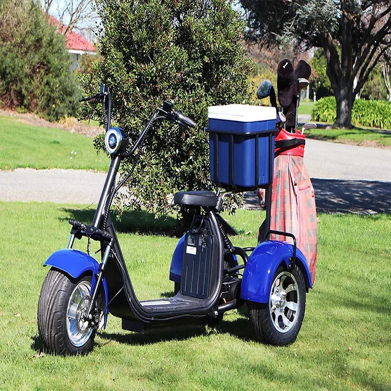 Australia Market Hot Sale Factory Direct Di Sleek And Sturdy 2 Seater Golf Kart Electric Motor Golf Carts Golf Sc