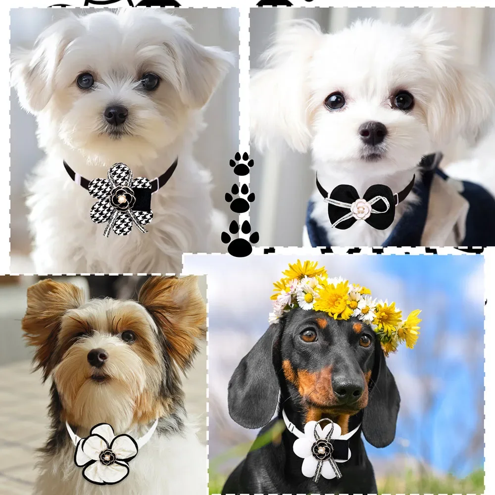 prod_6ad821e34b6981.51657176.webp