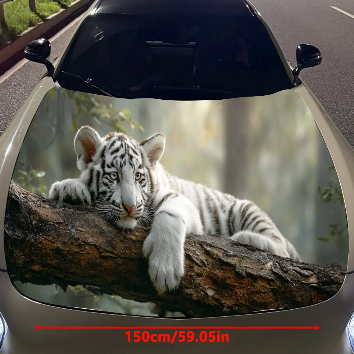prod_6ad8309e36aa30.98763253.webp