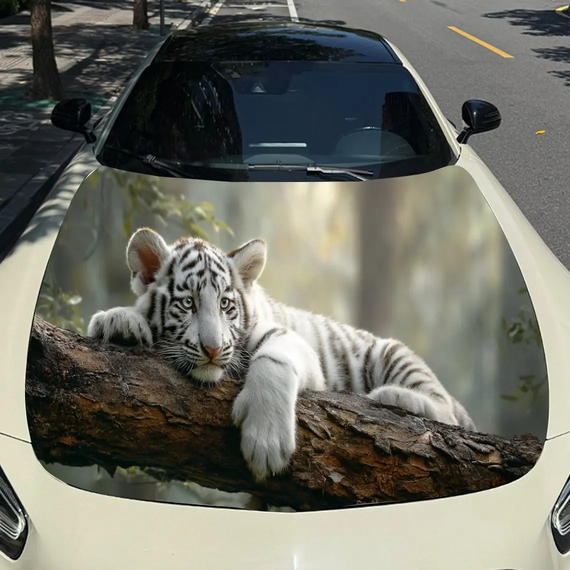 prod_6ad8309eab42f6.25152861.webp