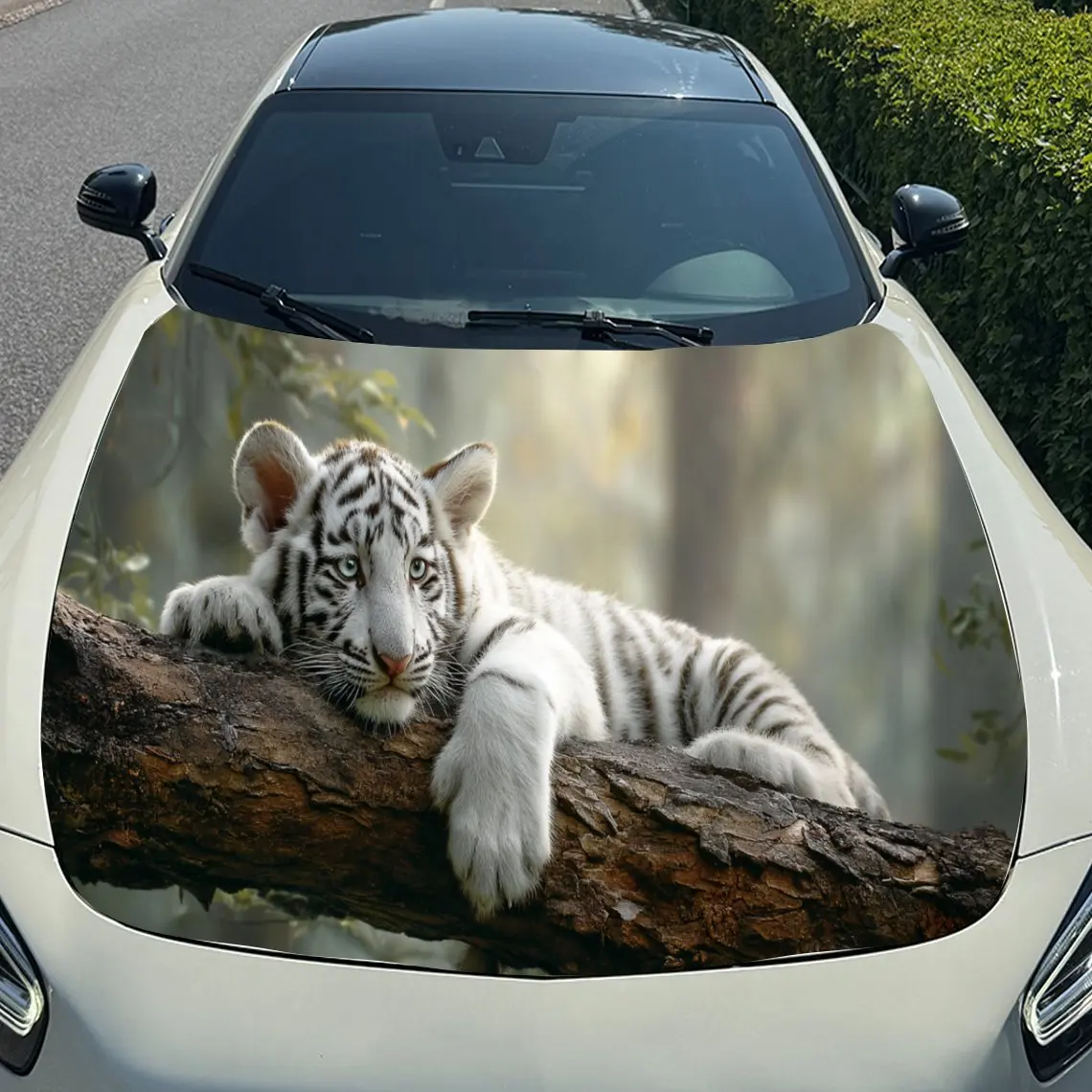 prod_6ad8309ee15068.17852181.webp