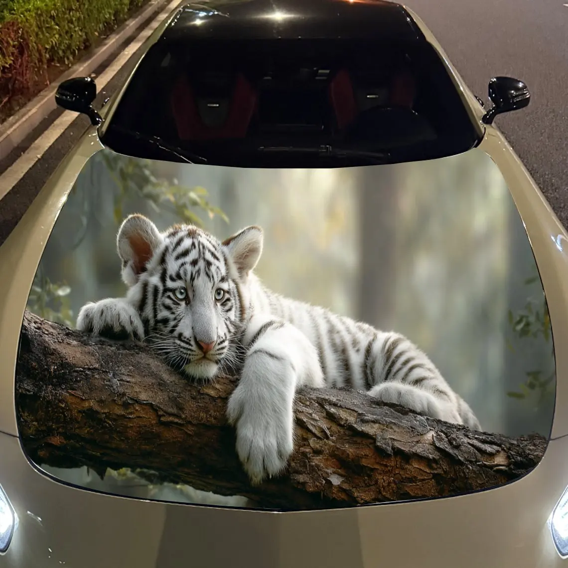 prod_6ad8309f5b1834.02687013.webp
