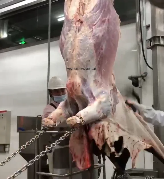 Factory Supplier Goat Dairy Cattle Breeding Equipment Sheep Cattle Slaughtering Machinery Production Line
