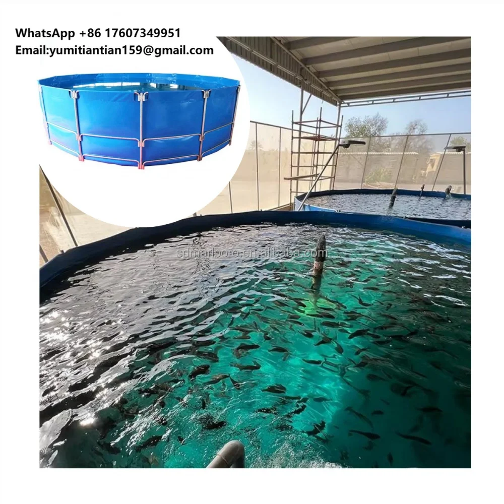 China Industrial Fish Farming Equipment Indoor Shrimp Farming Equipments Supplier
