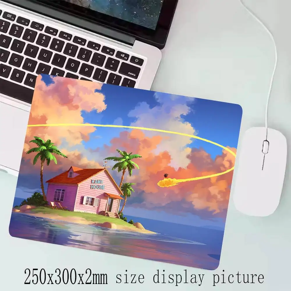 prod_6a9b2f9a78cb46.06077555.webp