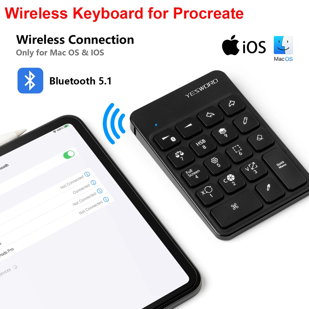 YESWORD Wireless Keyboard for Procreate Bluetooth Drawing for iPad Graphics Tablets Painting 6.5*5.5