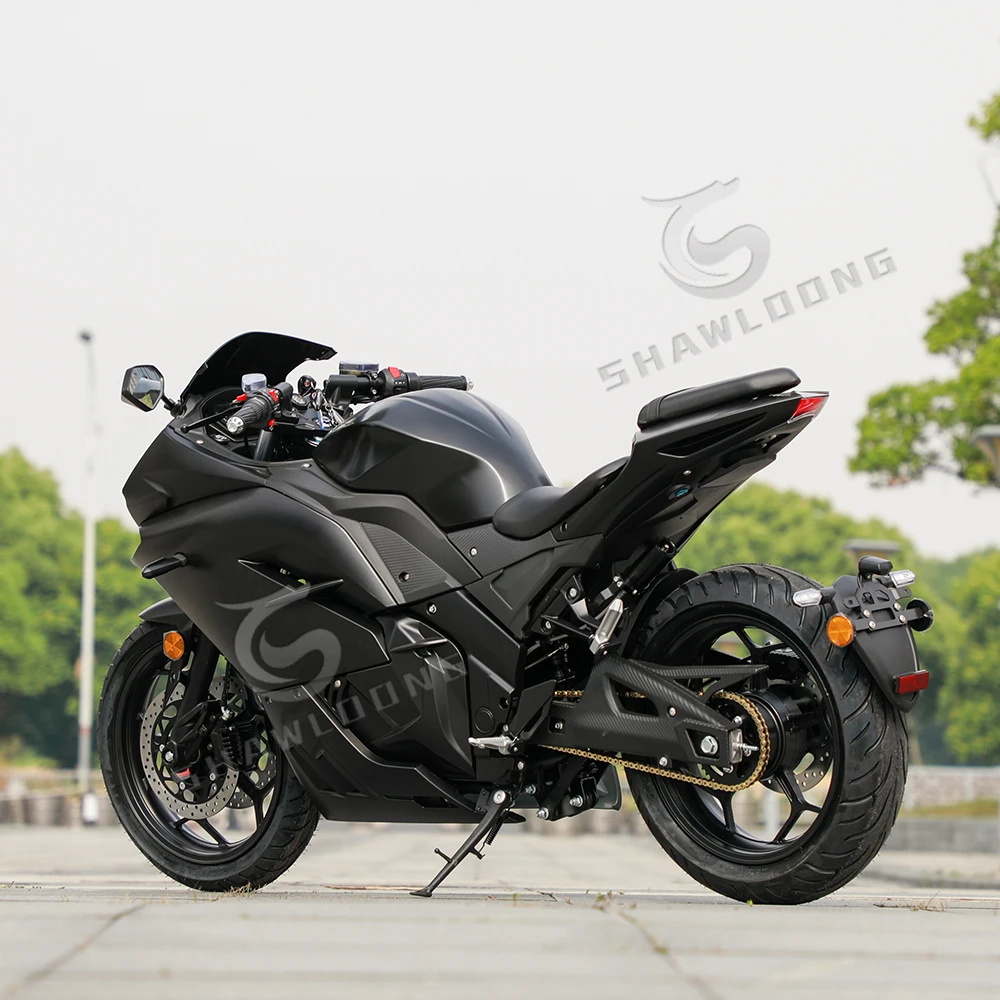 STLF Customized 2-Wheel 72V 3000W High Speed 80km/h Electric Moped Lithium Dual Seat Motorbike Electric Motorcycles for Adults