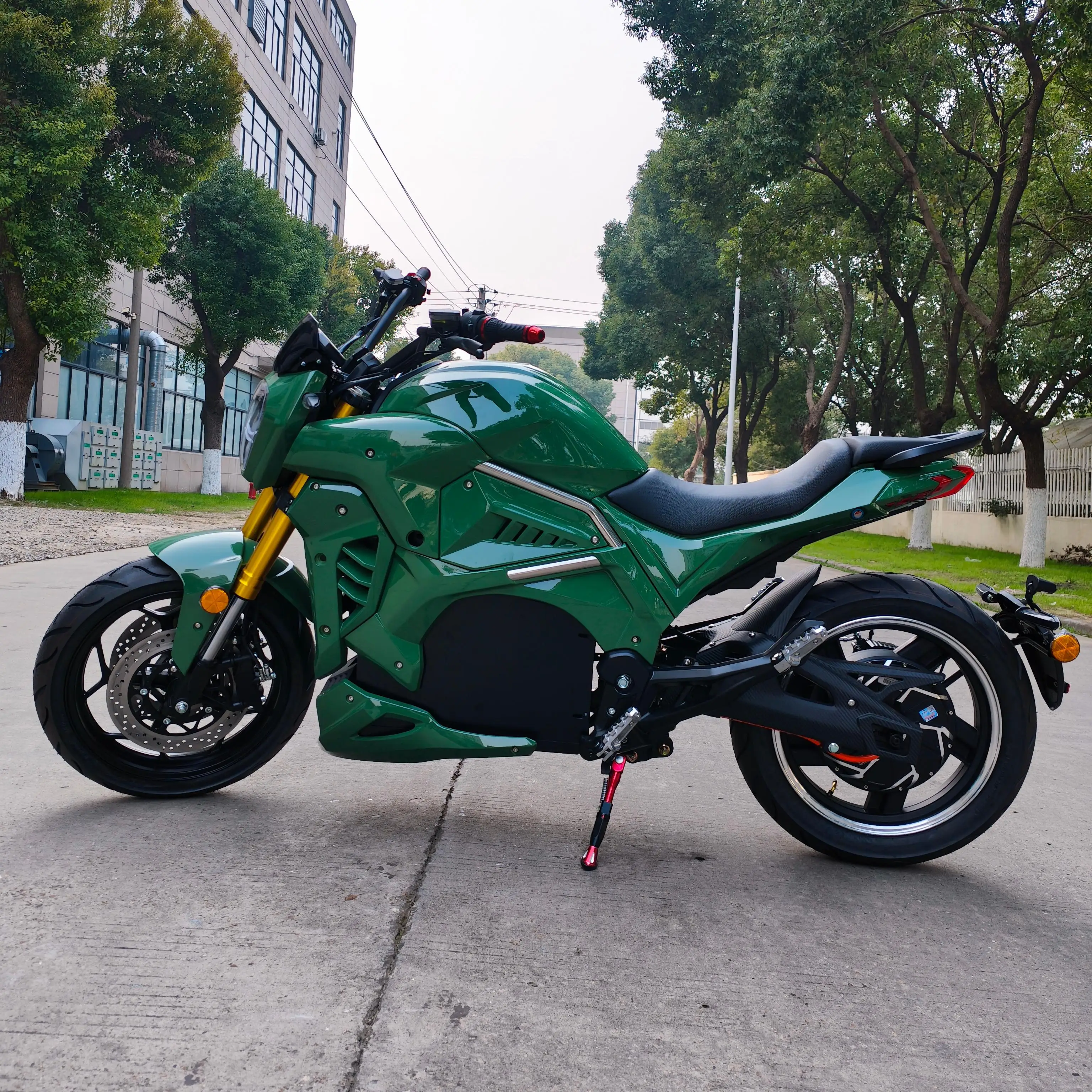 STLF 2026 Hot Selling Electric Motorcycle Wheel Motor Chain Motor Belt Motor Optional Lithium Battery Sportbikes