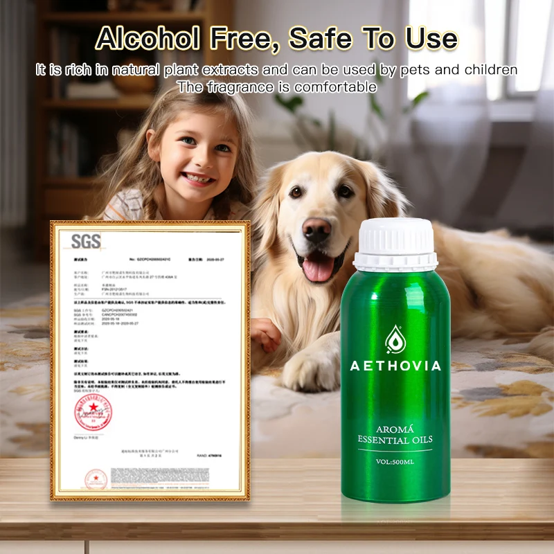 prod_6ad8709117ad77.32441983.webp