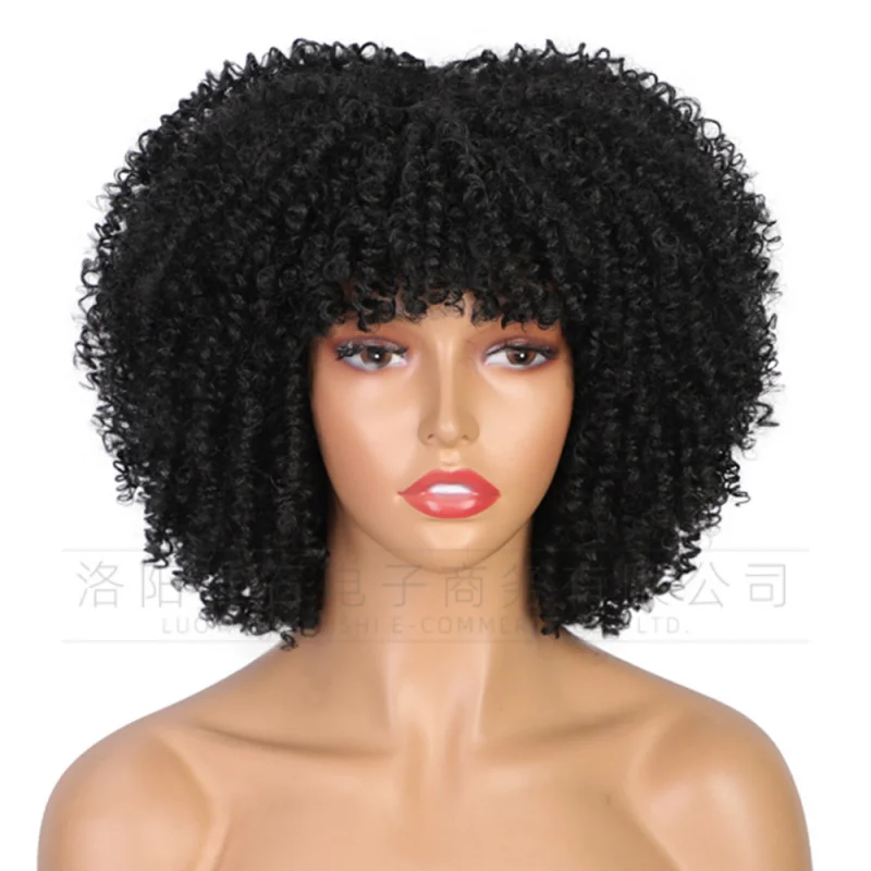 European and American women's African black fluffy small curly afro wig full head cover