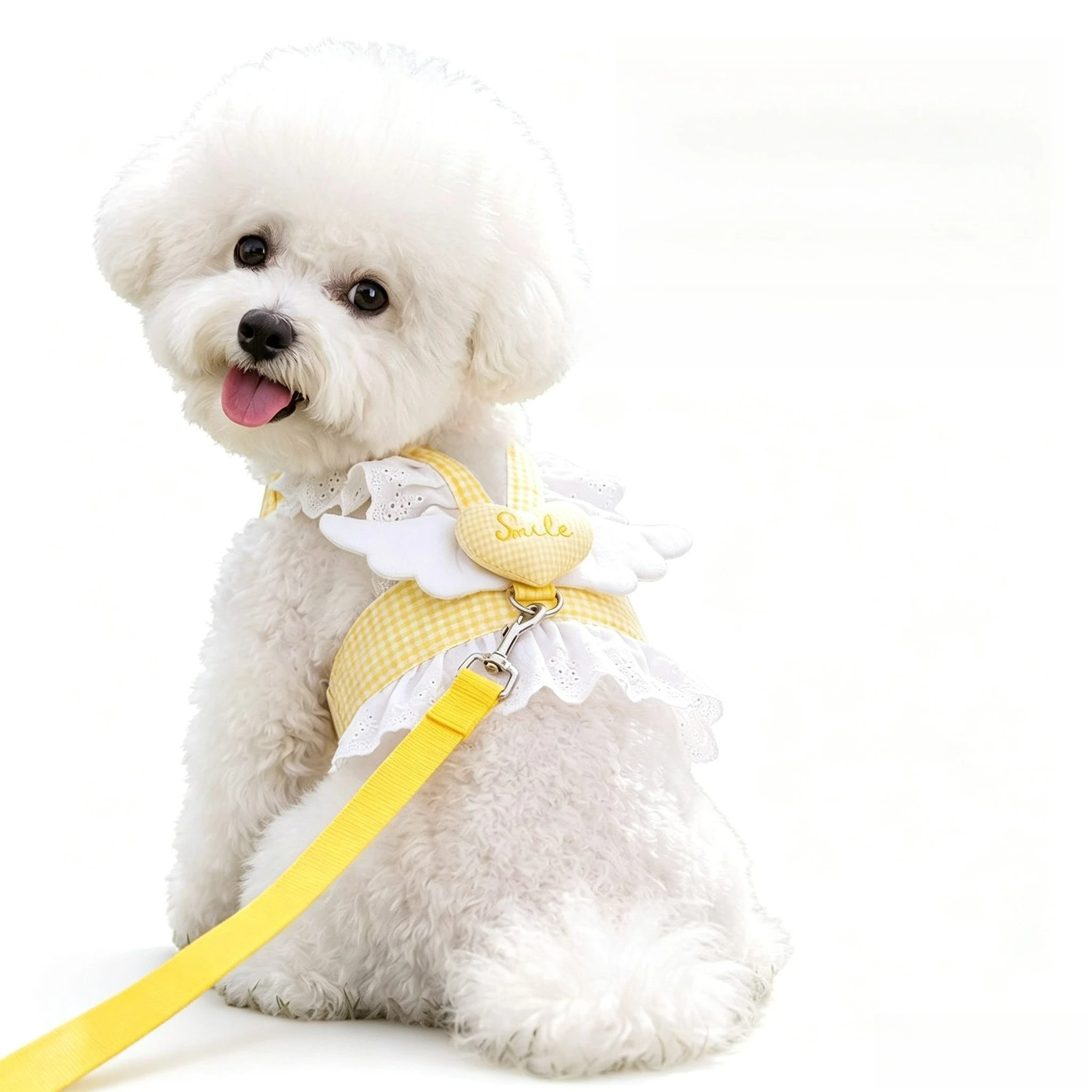 prod_6ad87843ace427.25446699.webp