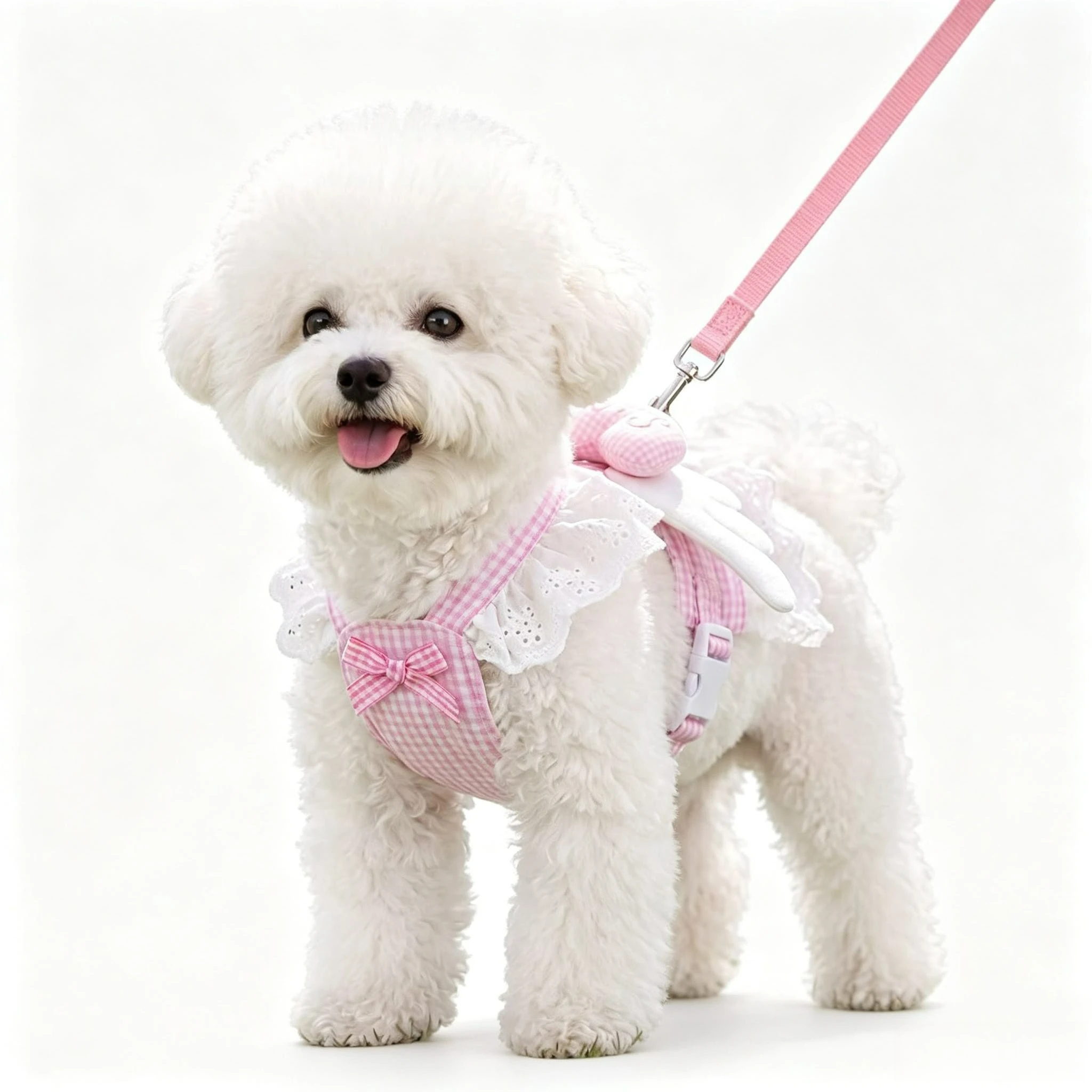 prod_6ad87844600996.70200026.webp