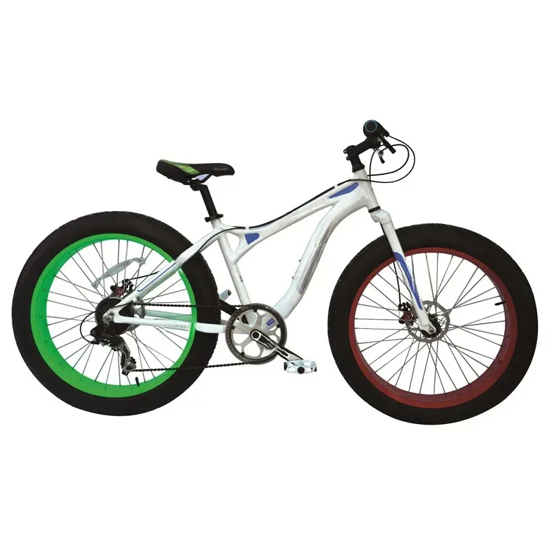 Factory Hot Selling 2021 Hot Sale Bike Frame  Bike Tire Snow Student Cycle Gear