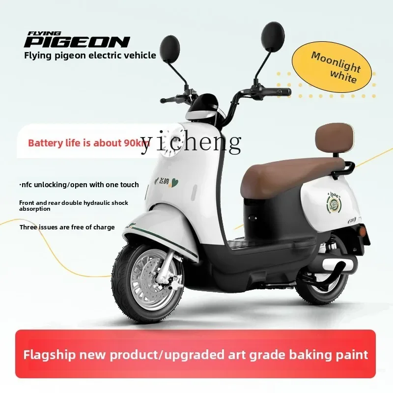 TQH modern pedal battery car adult girl small two-wheel high-power long-range turtle electric car