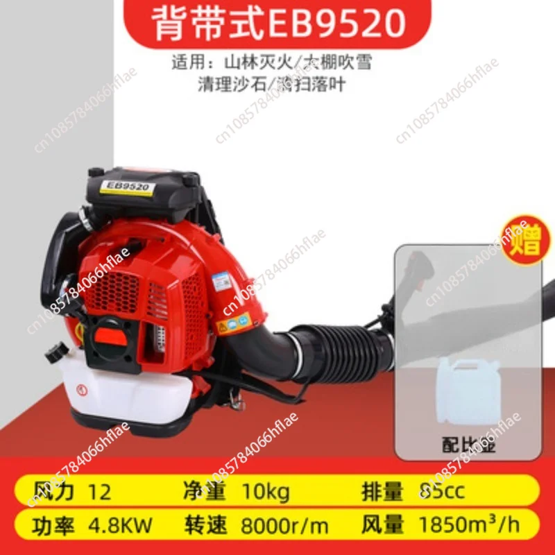 prod_6ad8ae90945fd4.26109986.webp