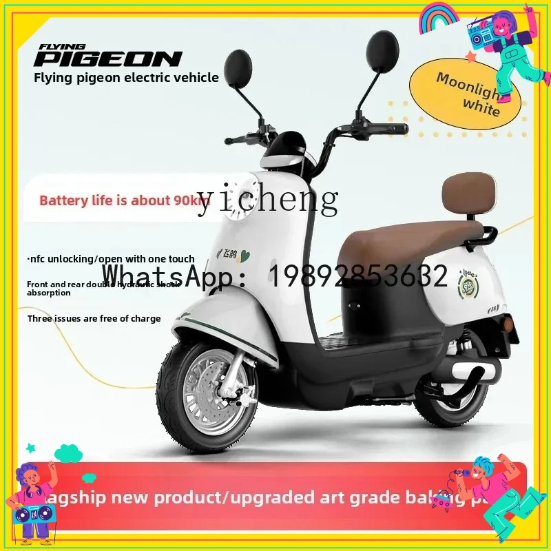 AB  modern pedal battery car adult girl small two-wheel high-power long-range turtle electric car