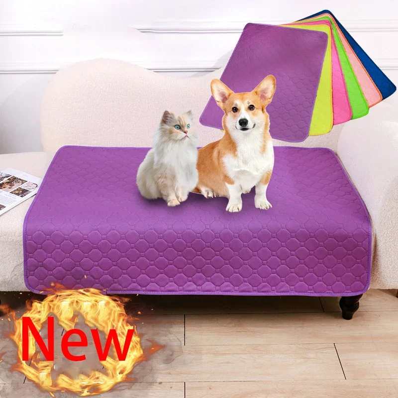 prod_6ad8ca15dc48d0.13209460.webp