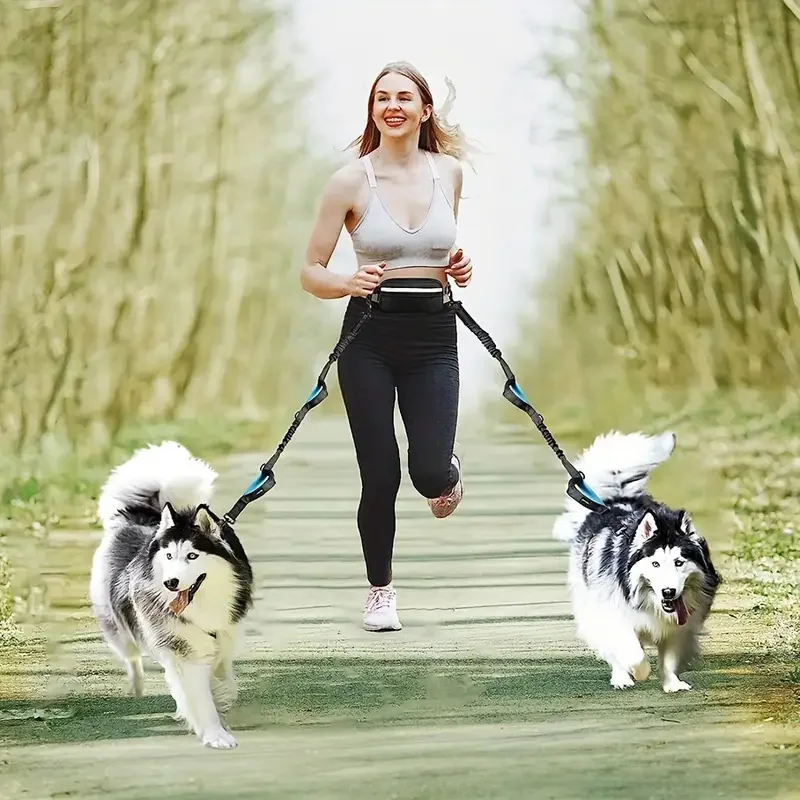 Adjustable Hands Free Waist Dog Running Training Leash Elastic Retractable Rope Double Handles Durable Outdoor Medium Large Dogs