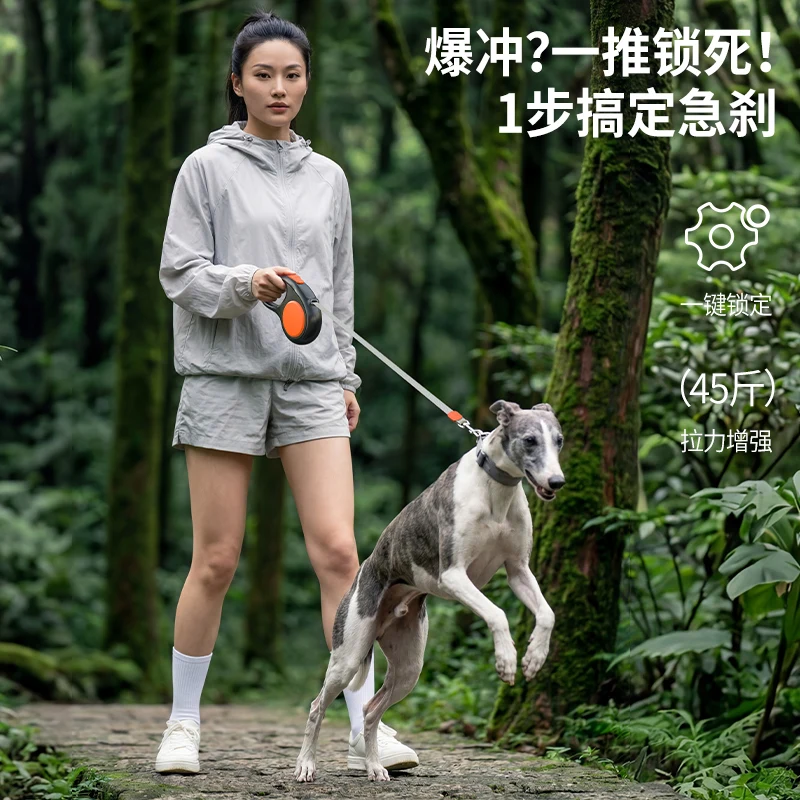 prod_6ad91f849ac9b0.32069850.webp