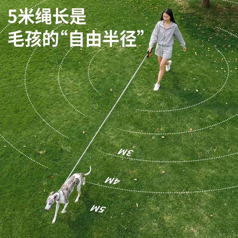 prod_6ad91f856298c1.87892944.webp