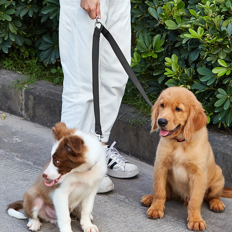 Double Leashes for Walking Dogs, Dual Pet Leash Lead, 360 Swivel, No Tangle, Rope, Poodle Outdoor Leash Belt, 2 in 1