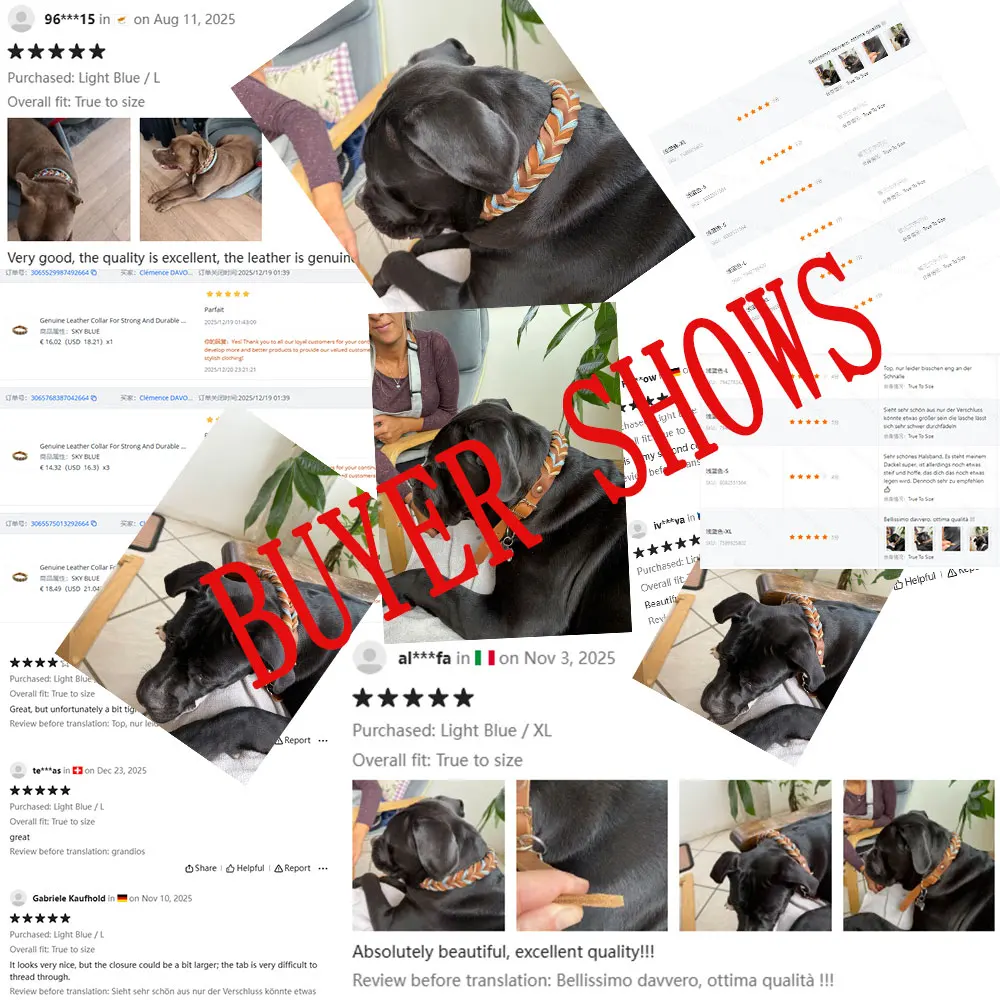 prod_6ad91fa9099139.03832288.webp
