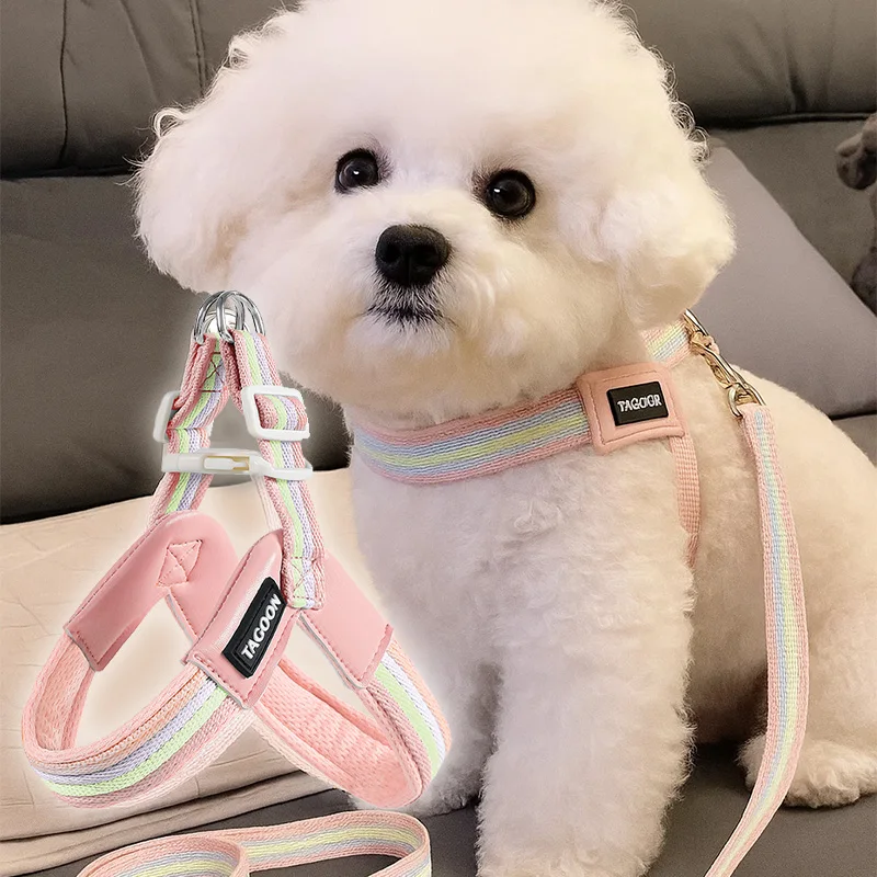 Rainbow Contrast Dog Harness Leash Set Breathable Vest Walking Rope for Small Medium Dogs Bichon Daily Pet Walking Supplies