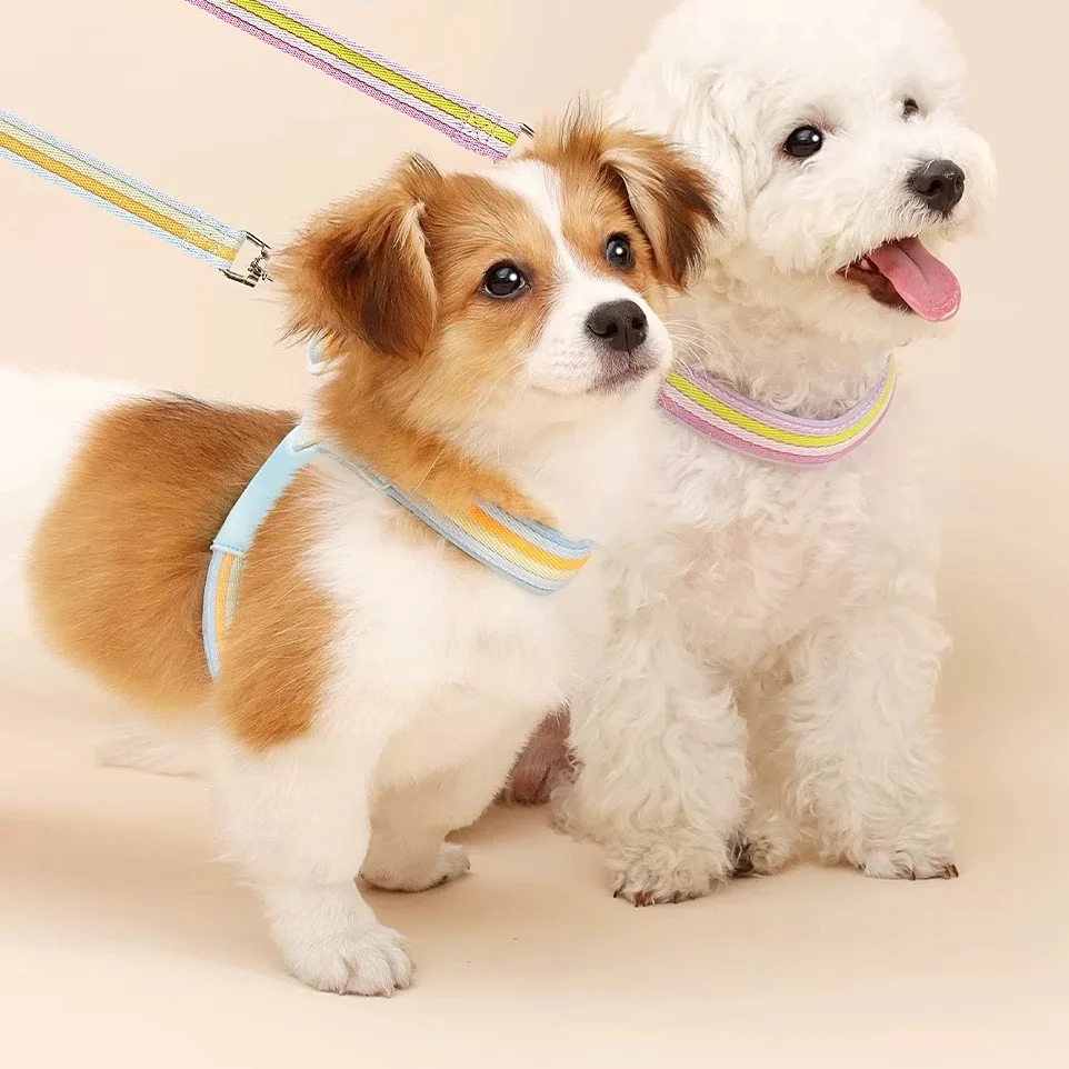 prod_6ad91fbb79bcf9.37208826.webp