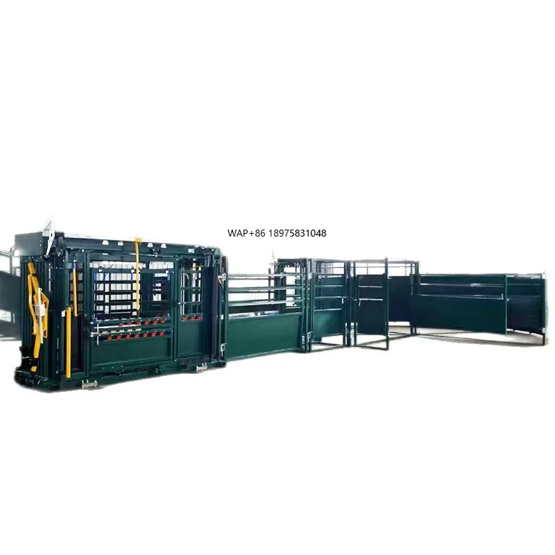 Cattle farm breeding intelligent grouping equipment, a variety of sizes can be customized, multi-functional.